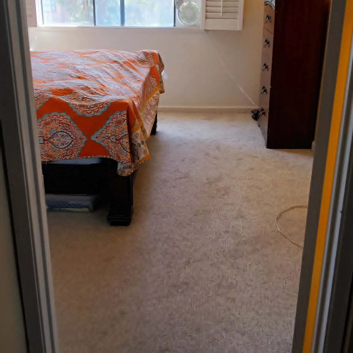 2 bed, 1134 sqft, $1,500 — Photo 1