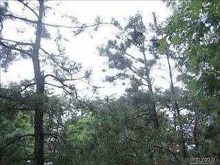 5th image of 2 Duckwood Ct