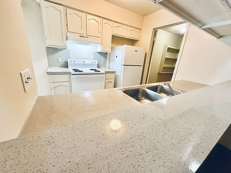 12504 Tree Line Dr — Photo 9