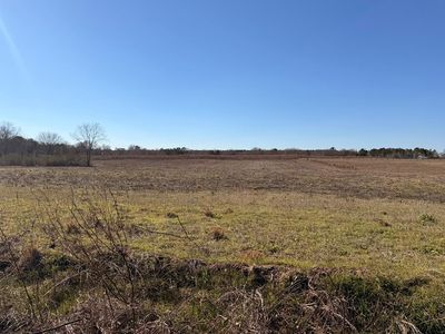 LOT 2 Culver Rd, Newville, AL, 36353