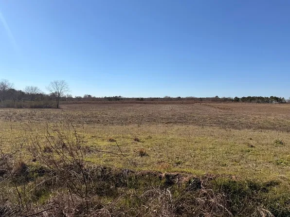 LOT 2 Culver Rd, Newville, AL 36353