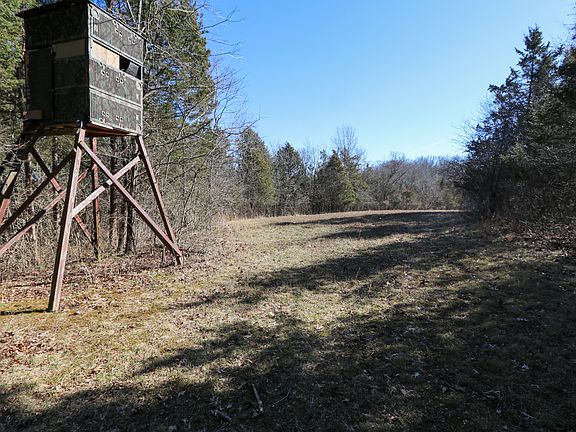 5th image of 619 Burden Ln