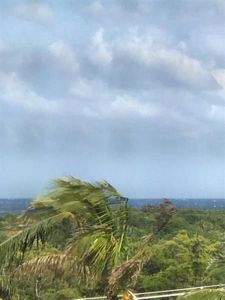 275 Palm Ave APT C503, Jupiter, FL, 33477