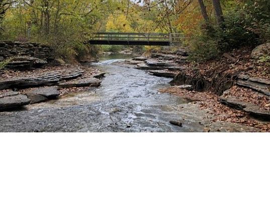 3rd image of Folkingham Ln #10
