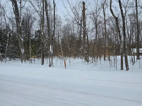 60 Acres Off, Germfask, MI 49836