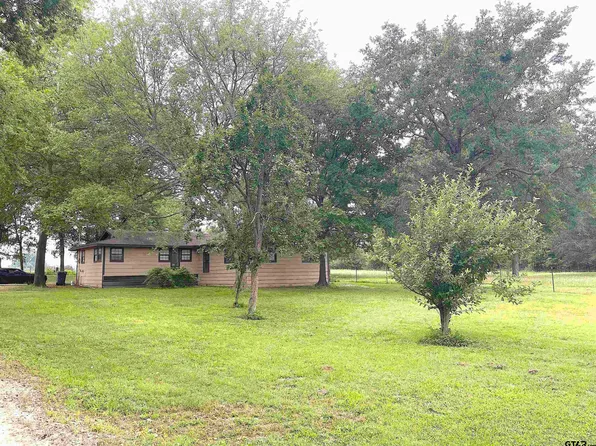 173 County Road 2410, Leesburg, TX 75451