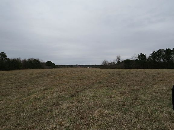 5th image of 2463 Highway 237