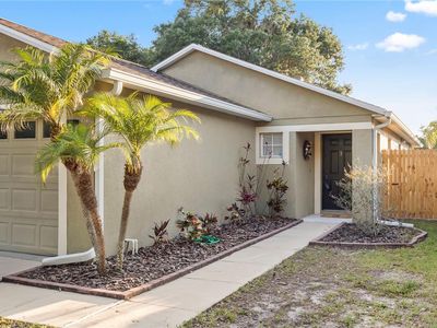 8423 Deer Chase Dr, Riverview, FL, 33578