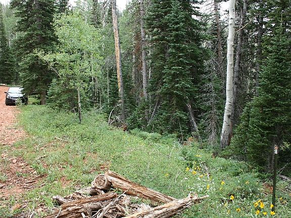 3rd image of Green Meadow Acres Lot 12
