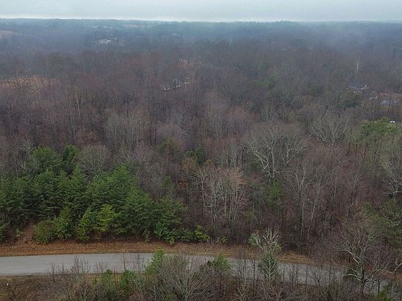 3rd image of 0 Hummingbird Cv