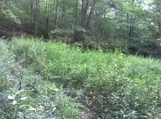 105 Copeman Ln, Valley Head, WV 26294