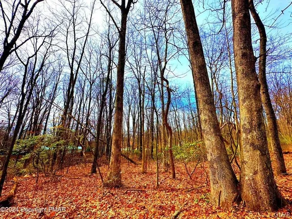 327 Maple Rd, Effort, PA 18330