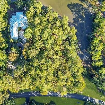 3rd image of 31 Spring Island Dr