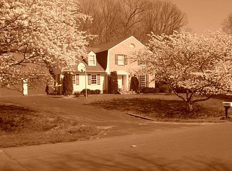 Street view during spring