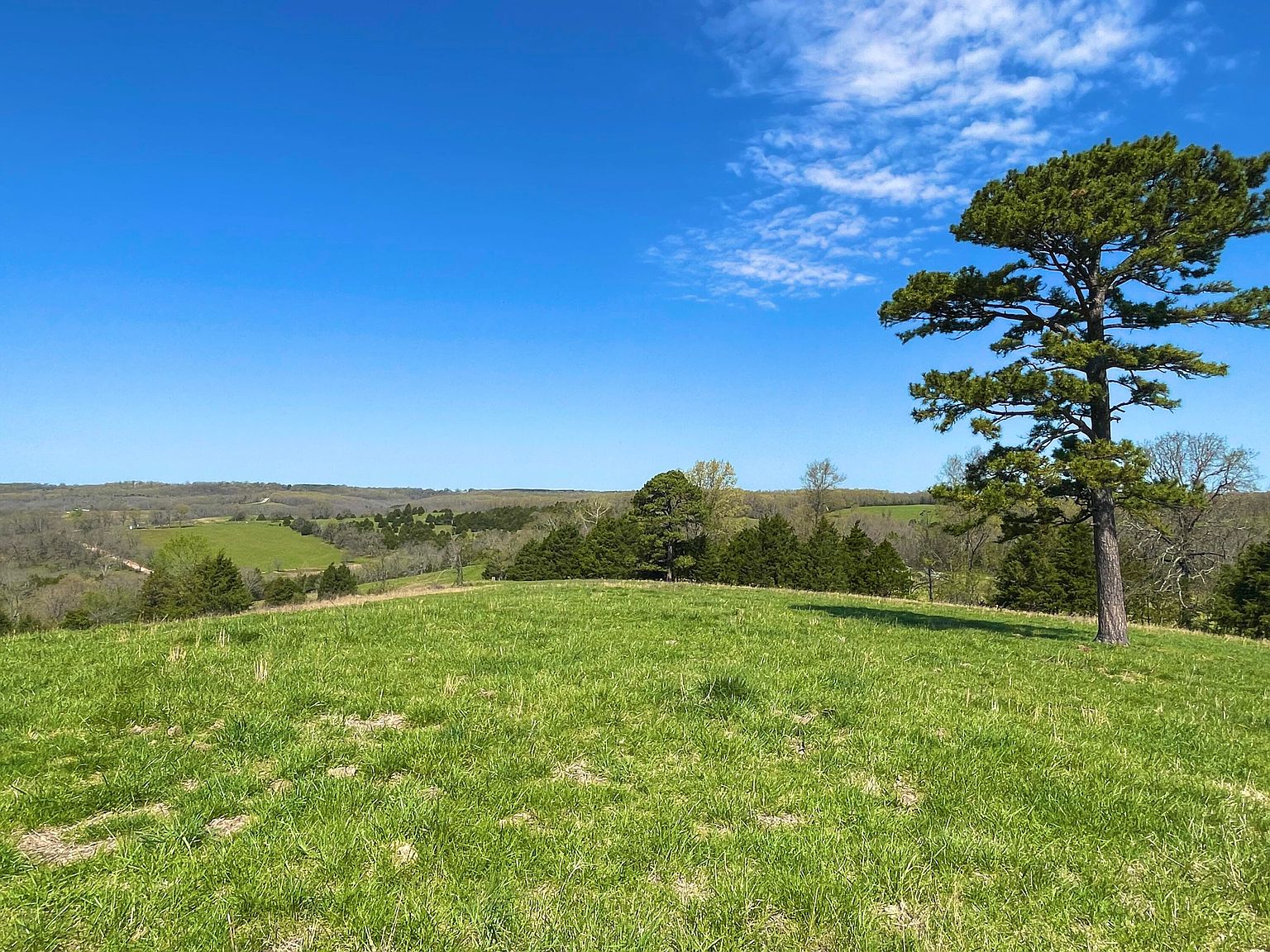 000 County Road W256, Vanzant, MO 65768 MLS 60266406 Zillow