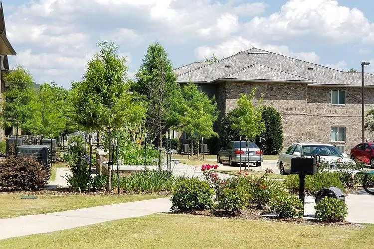 Cypress Springs — Photo 20