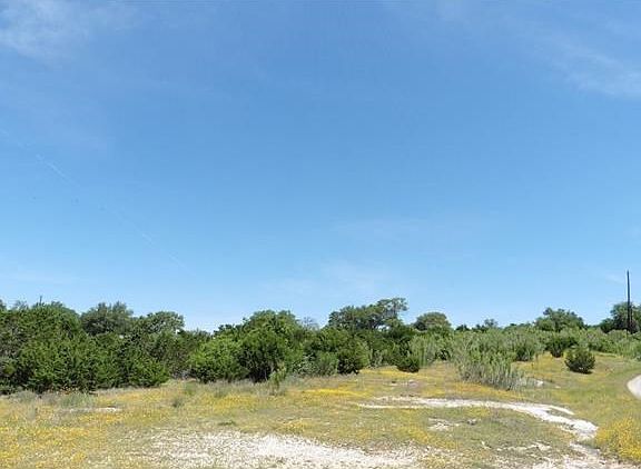 Lot of trees
