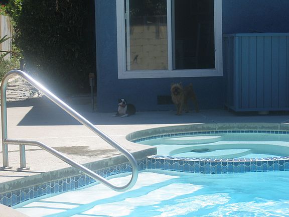 9000 sq ft lot; great for pups!