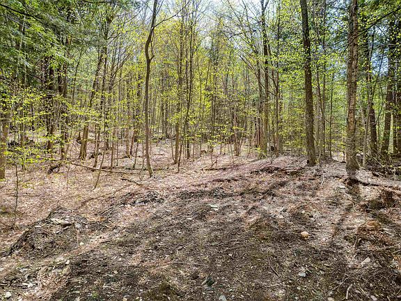 2nd image of 00 Chapel Hill Road #3