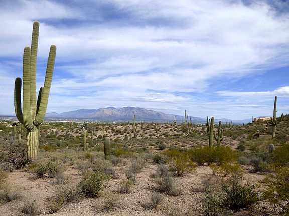 3rd image of 5891 W El Camino Del Cerro