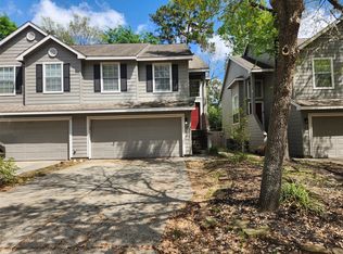 119 Anise Tree Pl, Spring, TX 77382