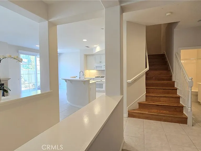 29 Carnation — Photo 13