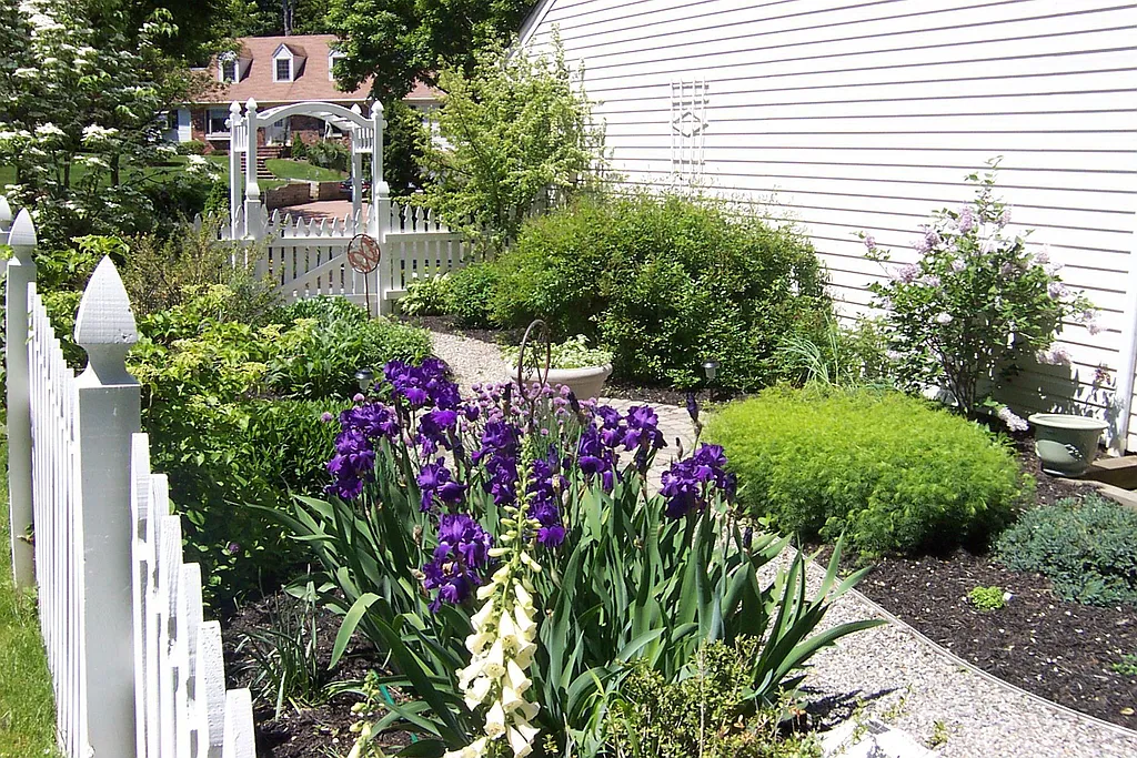 Property photo 4