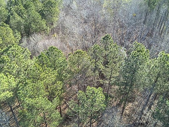 4th image of 0 Boyds Mill Pond Rd