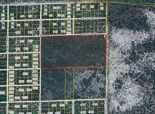 NE 87th Pl, Bronson, FL 32621