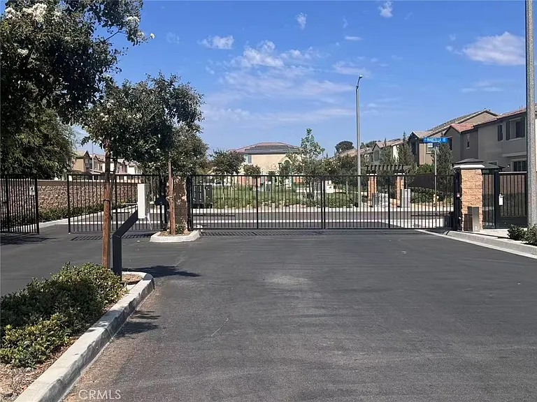 366 Rosa — Photo 2