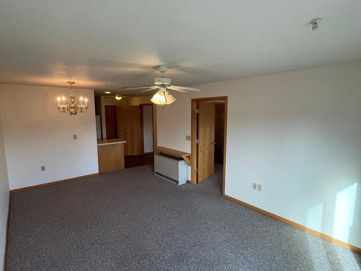 1 bed, $930 — Photo 3