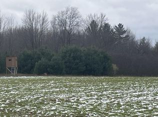 Par A Nimberger Rd, Lakeview, MI 48850