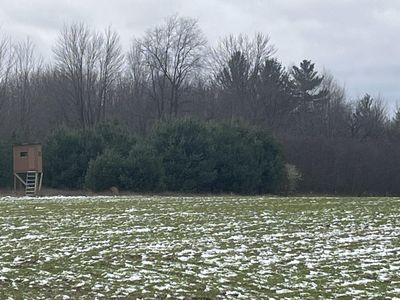 Par A Nimberger Rd, Lakeview, MI, 48850