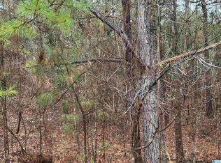 286 Willow Ln #5, Vincent, AL 35178