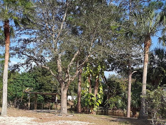 Canal and mature trees.
