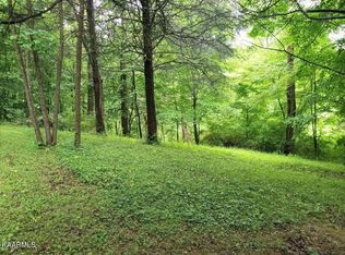 Carr Wynn Rd, Lafollette, TN 37766