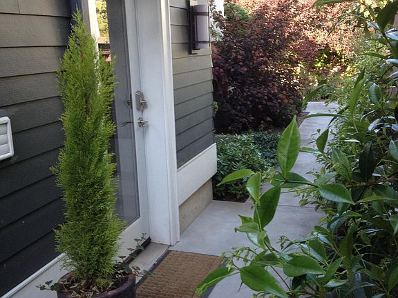 Apartment Entry Door