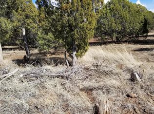 7870 Wagoner Rd, Show Low, AZ 85901