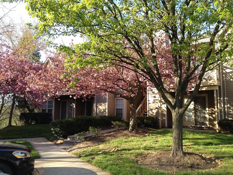 4712 Dorsey Hall Dr #401 — Photo 15