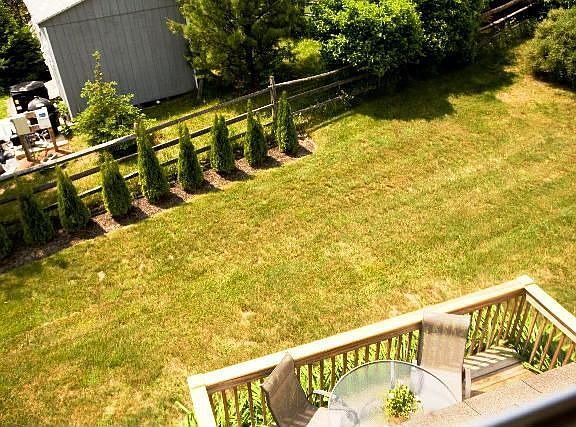 Backyard View