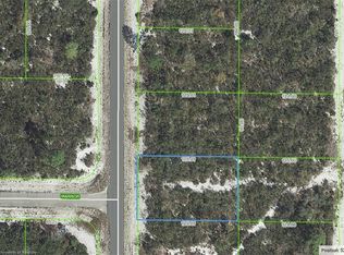 772 Derringer Ave NW, Lake Placid, FL 33852