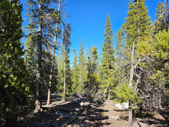 1186 Bobcat Lane LOT 439, Fairplay, CO 80440