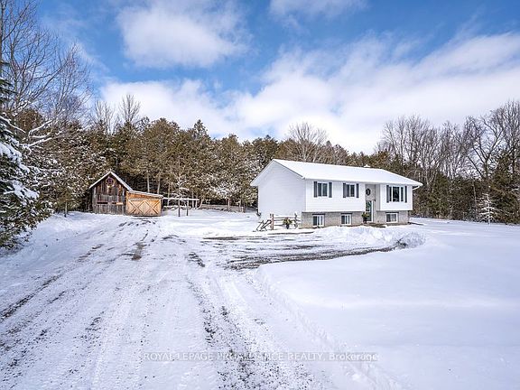 5th image of 42 Springbrook Rd