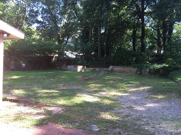 Back yard