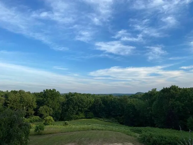 Summer's lush greenery