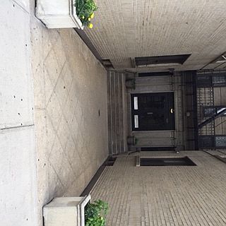 2nd image of 530 Manhattan Ave APT 24