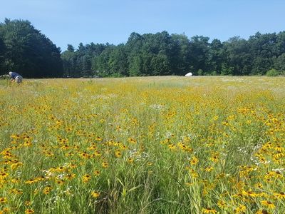 0 Depot Rd, Hatfield, MA, 01038