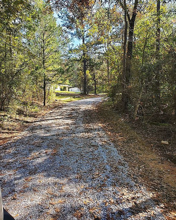 Driveway to home