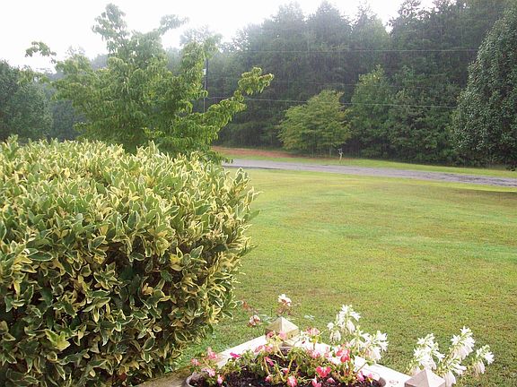 Left front view from front porch