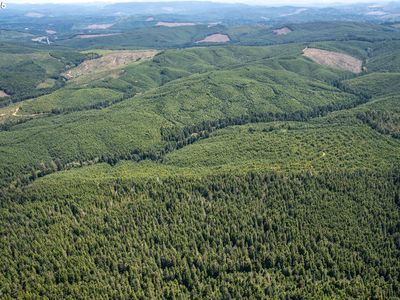 Highway 101, Coos Bay, OR, 97420